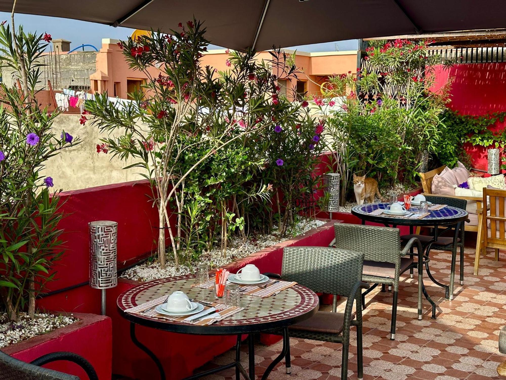 Riad Hilmuna Hammam Et Spa Marrakesh Buitenkant foto